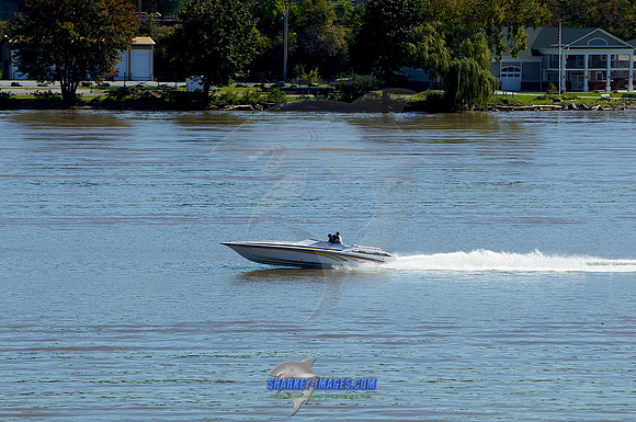 111008A 872 - Version 2