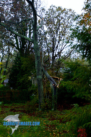 121022 122 - Version 2
