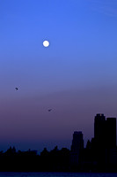 120101 110 - Version 2