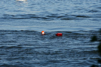 Boat Racing