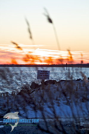 110203A  1502 - Version 2