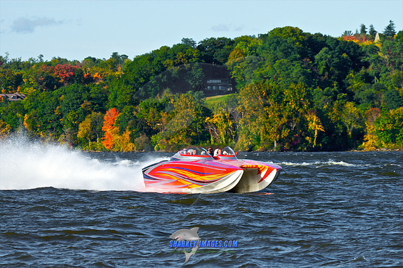 101009C 207 - Version 2.jpg