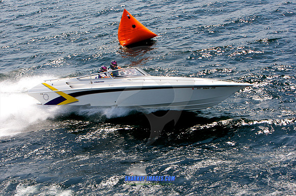 052210_B 318 - Version 2