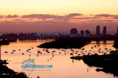 120223A 3 - Version 2