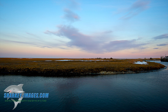022010_ 6 - Version 2.jpg