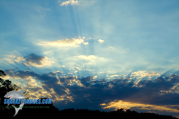 101010D 30 - Version 2