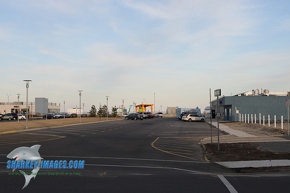 5T0F0519.JPG