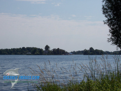 100_0280.JPG