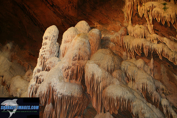 110208_ 030.jpg