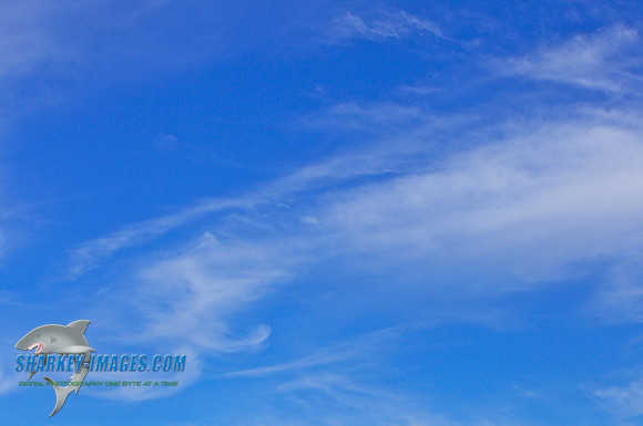 101114L 452 - Version 2