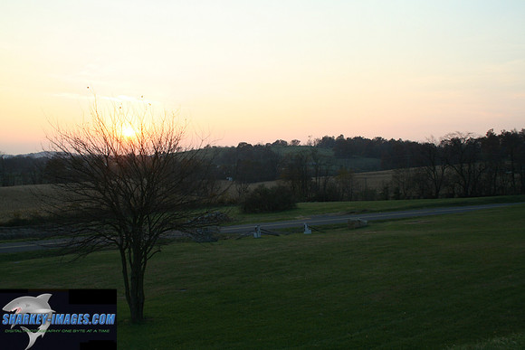 110208_ 062.jpg