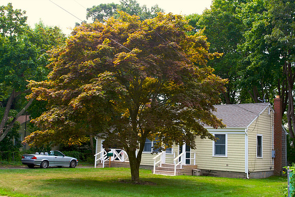 082409_  1 - Version 2.jpg