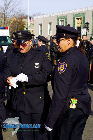 110120  1218 - Version 2