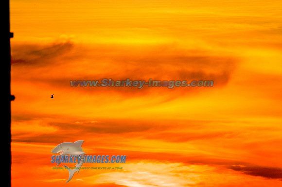 110812C 34 - Version 2