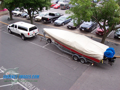 100_0073.JPG