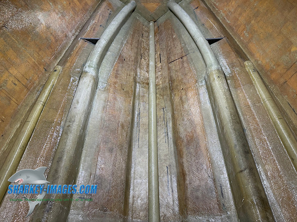 IMG_9589