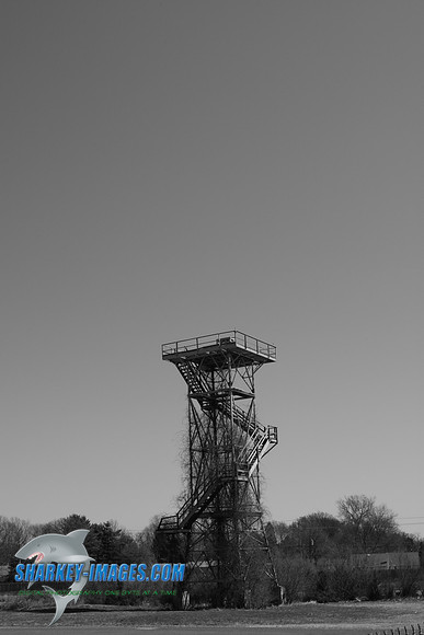TSI_0068.JPG