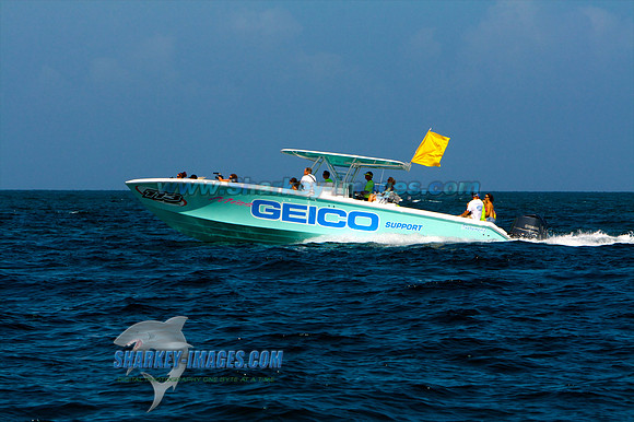 061310_Q 32 - Version 3