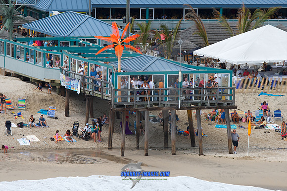 091309A 77 - Version 2.jpg