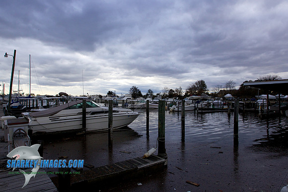 121031 111