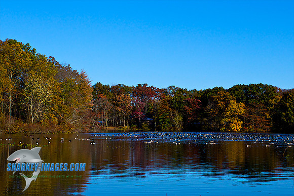111030 2 - Version 2