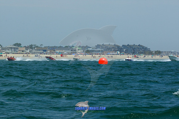 190616A 211