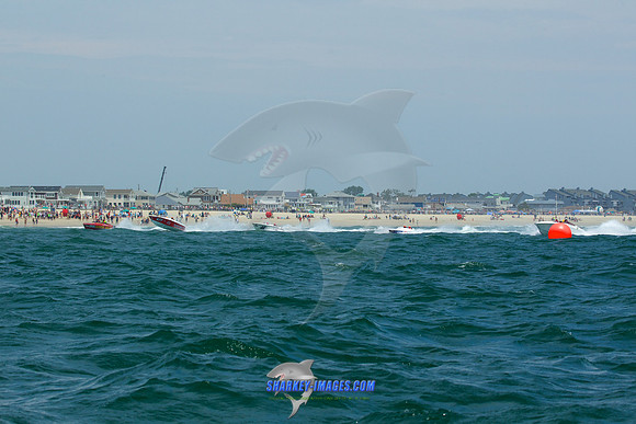 190616A 213