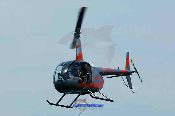 190616A 334