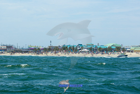 190616A 796
