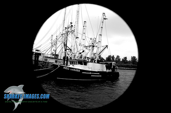 110827A 116 - Version 2