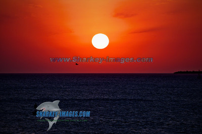 111113R3 901 - Version 2