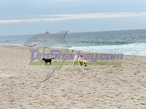 IMG_0602