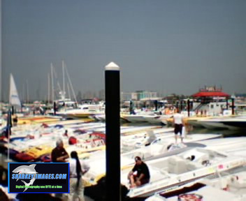 Picture 12.jpg
