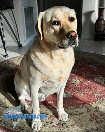 IMG_3075