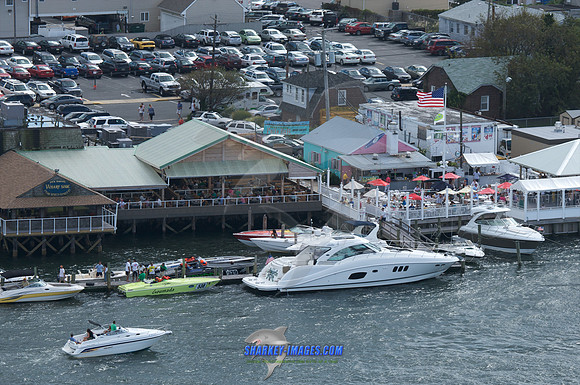 091309G 602 - Version 3.jpg