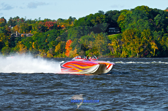 101009C 206 - Version 2.jpg
