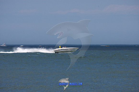 053109B_ 41 - Version 2.jpg