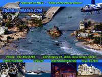 Sharkey Images Ad