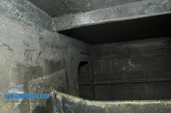 062009D 75.jpg