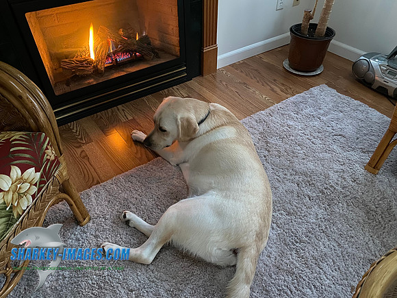 2A9EDAD3-9D5A-4EDD-AF10-AC5DFA6C6C78