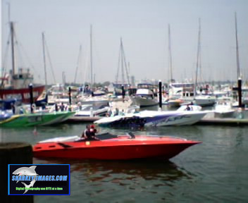 Picture 18.jpg