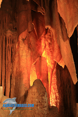110108_ 084.jpg