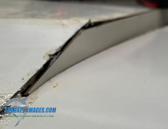 IMG_0181