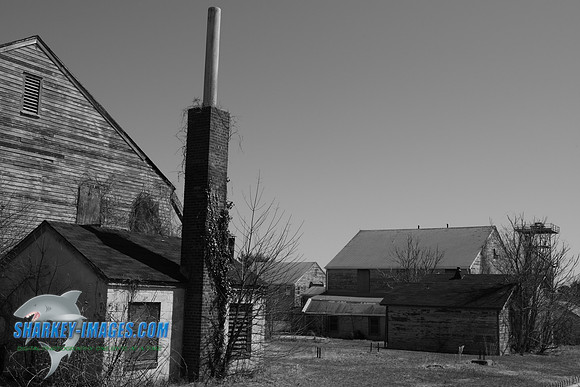TSI_0065.JPG