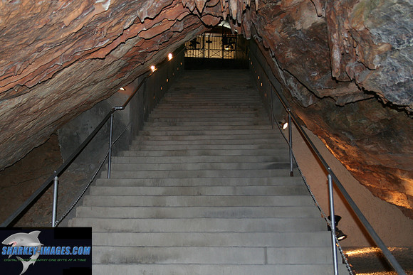 110208_ 002.jpg