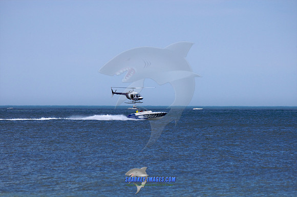 053109B_ 32 - Version 2.jpg