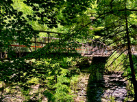 A53F8517-8D44-49FD-B333-F9E11409152A