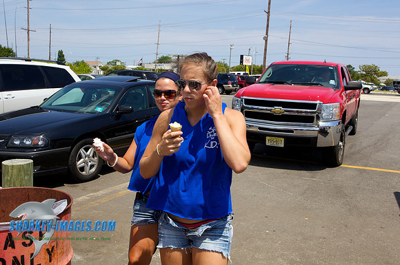 110716C 253 - Version 2