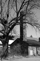 TSI_0012.JPG