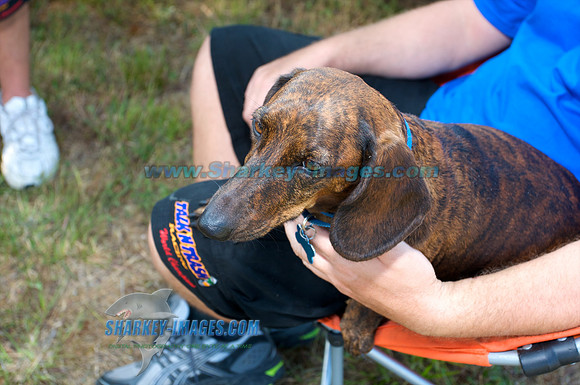 052910_B 357 - Version 2